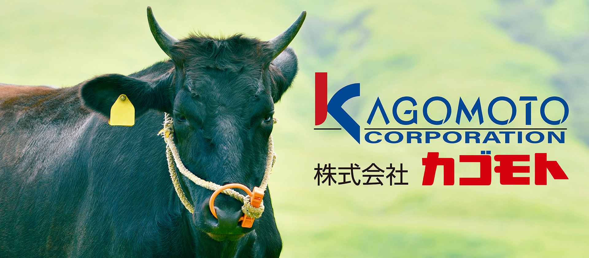 株式会社カゴモト